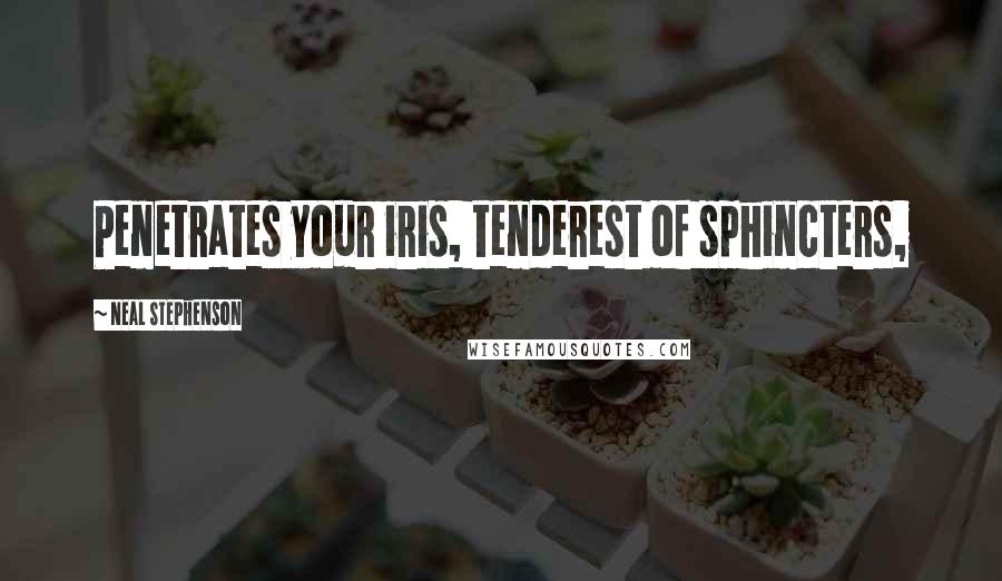 Neal Stephenson Quotes: Penetrates your iris, tenderest of sphincters,