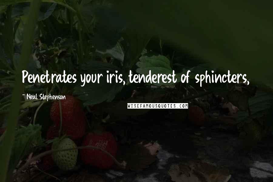 Neal Stephenson Quotes: Penetrates your iris, tenderest of sphincters,