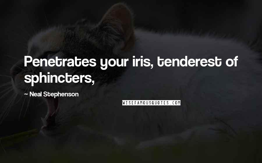 Neal Stephenson Quotes: Penetrates your iris, tenderest of sphincters,