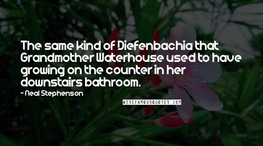 Neal Stephenson Quotes: The same kind of Diefenbachia that Grandmother Waterhouse used to have growing on the counter in her downstairs bathroom.