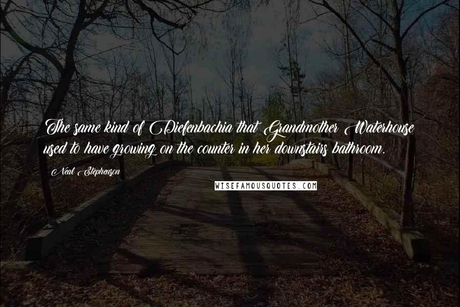 Neal Stephenson Quotes: The same kind of Diefenbachia that Grandmother Waterhouse used to have growing on the counter in her downstairs bathroom.