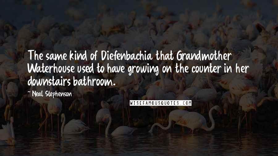 Neal Stephenson Quotes: The same kind of Diefenbachia that Grandmother Waterhouse used to have growing on the counter in her downstairs bathroom.