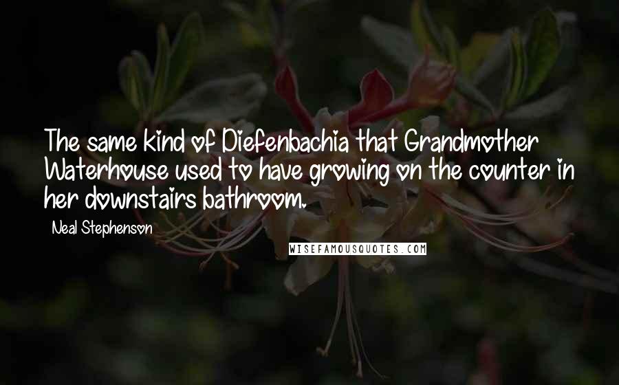 Neal Stephenson Quotes: The same kind of Diefenbachia that Grandmother Waterhouse used to have growing on the counter in her downstairs bathroom.