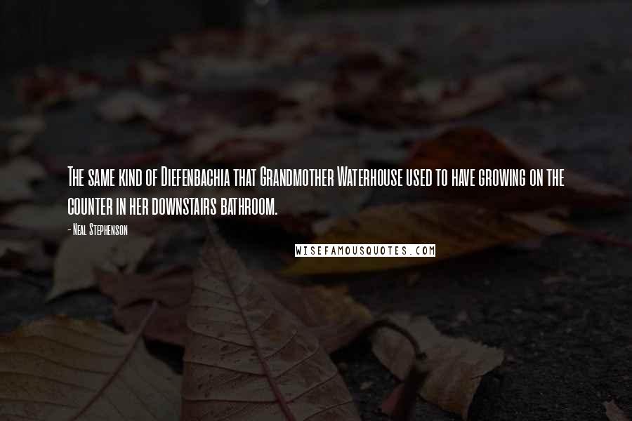 Neal Stephenson Quotes: The same kind of Diefenbachia that Grandmother Waterhouse used to have growing on the counter in her downstairs bathroom.