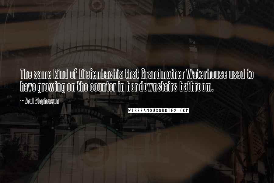 Neal Stephenson Quotes: The same kind of Diefenbachia that Grandmother Waterhouse used to have growing on the counter in her downstairs bathroom.