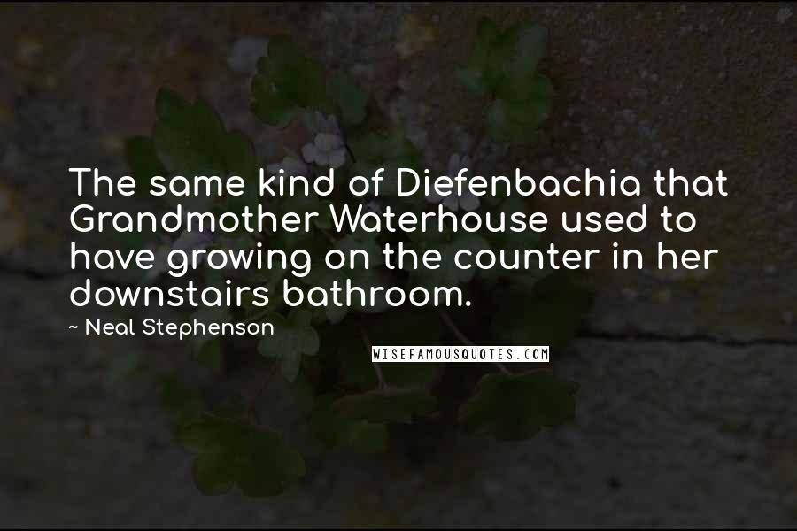 Neal Stephenson Quotes: The same kind of Diefenbachia that Grandmother Waterhouse used to have growing on the counter in her downstairs bathroom.