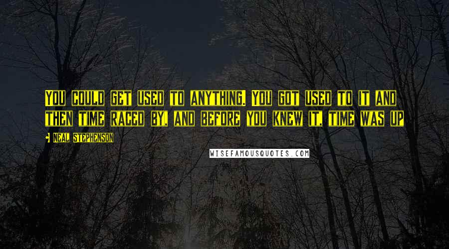 Neal Stephenson Quotes: You could get used to anything. You got used to it and then time raced by, and before you knew it, time was up