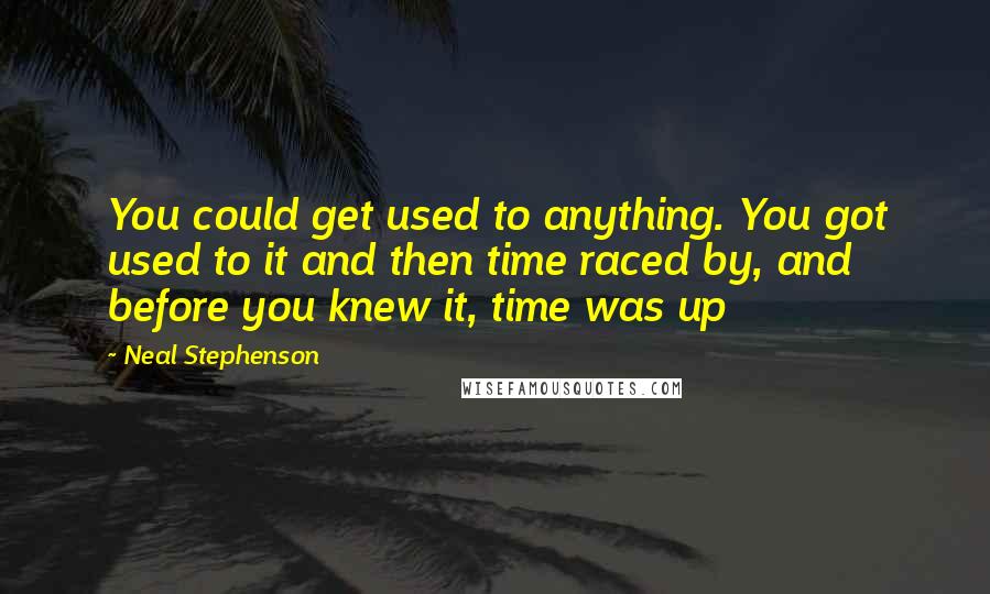 Neal Stephenson Quotes: You could get used to anything. You got used to it and then time raced by, and before you knew it, time was up