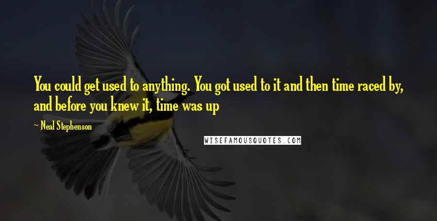 Neal Stephenson Quotes: You could get used to anything. You got used to it and then time raced by, and before you knew it, time was up