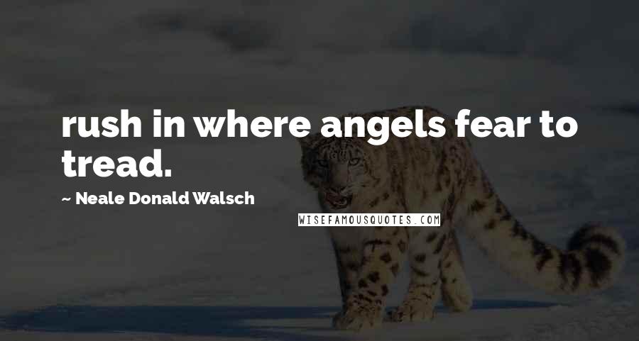 Neale Donald Walsch Quotes: rush in where angels fear to tread.