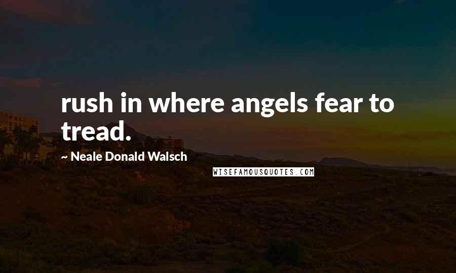 Neale Donald Walsch Quotes: rush in where angels fear to tread.