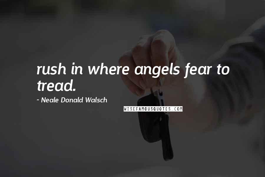 Neale Donald Walsch Quotes: rush in where angels fear to tread.