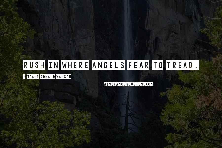 Neale Donald Walsch Quotes: rush in where angels fear to tread.