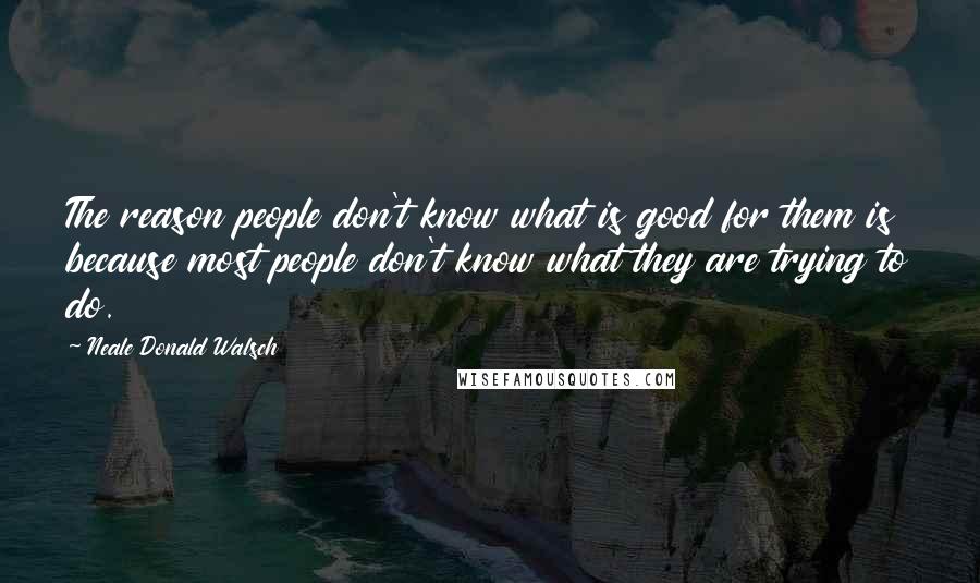 Neale Donald Walsch Quotes: The reason people don't know what is good for them is because most people don't know what they are trying to do.