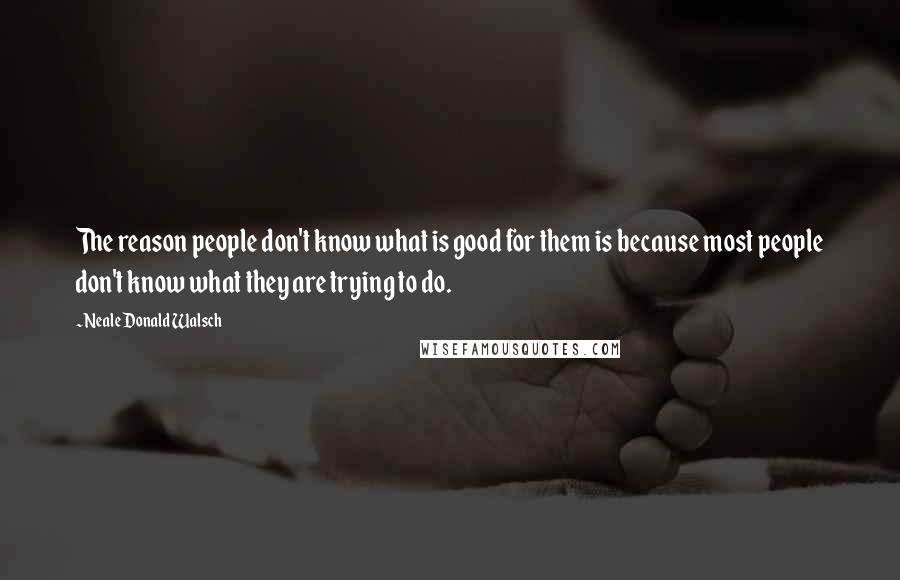 Neale Donald Walsch Quotes: The reason people don't know what is good for them is because most people don't know what they are trying to do.