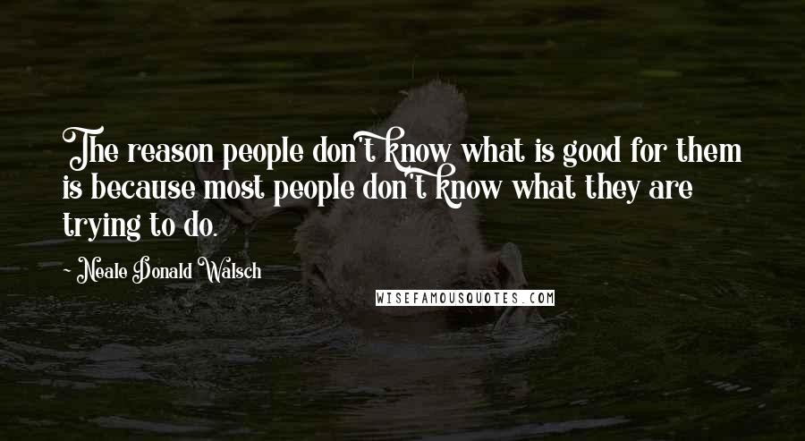 Neale Donald Walsch Quotes: The reason people don't know what is good for them is because most people don't know what they are trying to do.