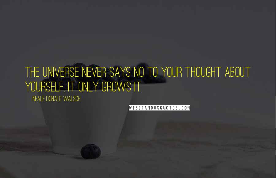 Neale Donald Walsch Quotes: The universe never says no to your thought about yourself. It only grows it.