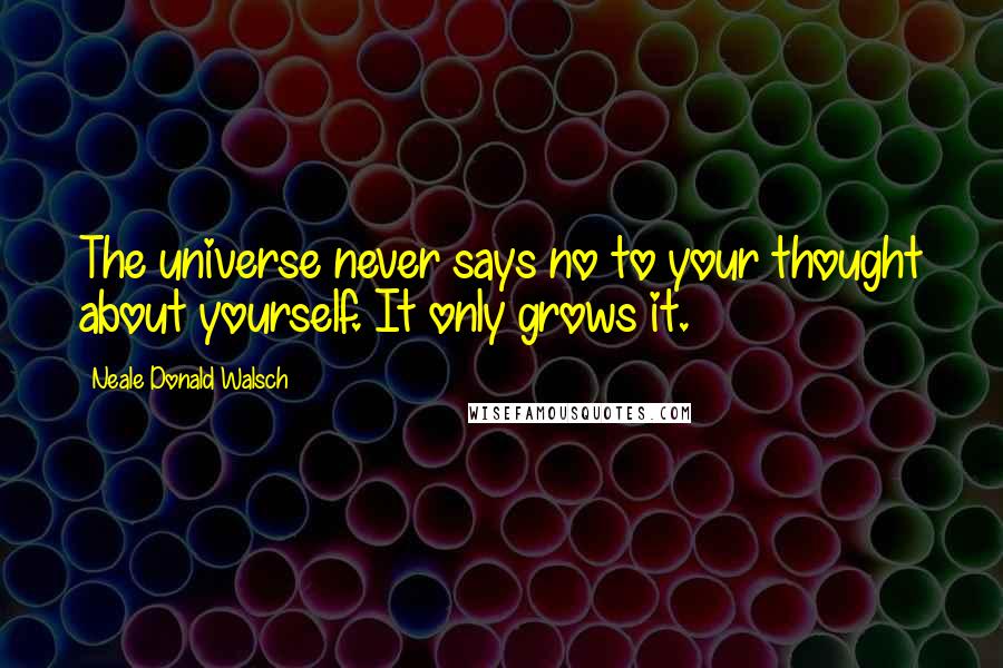 Neale Donald Walsch Quotes: The universe never says no to your thought about yourself. It only grows it.