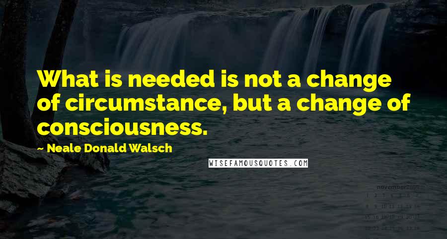 Neale Donald Walsch Quotes: What is needed is not a change of circumstance, but a change of consciousness.