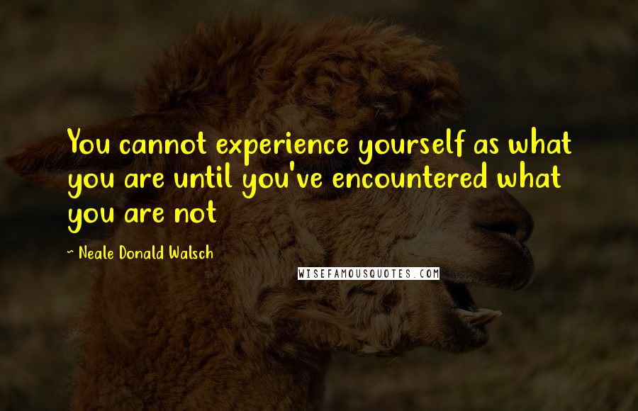 Neale Donald Walsch Quotes: You cannot experience yourself as what you are until you've encountered what you are not