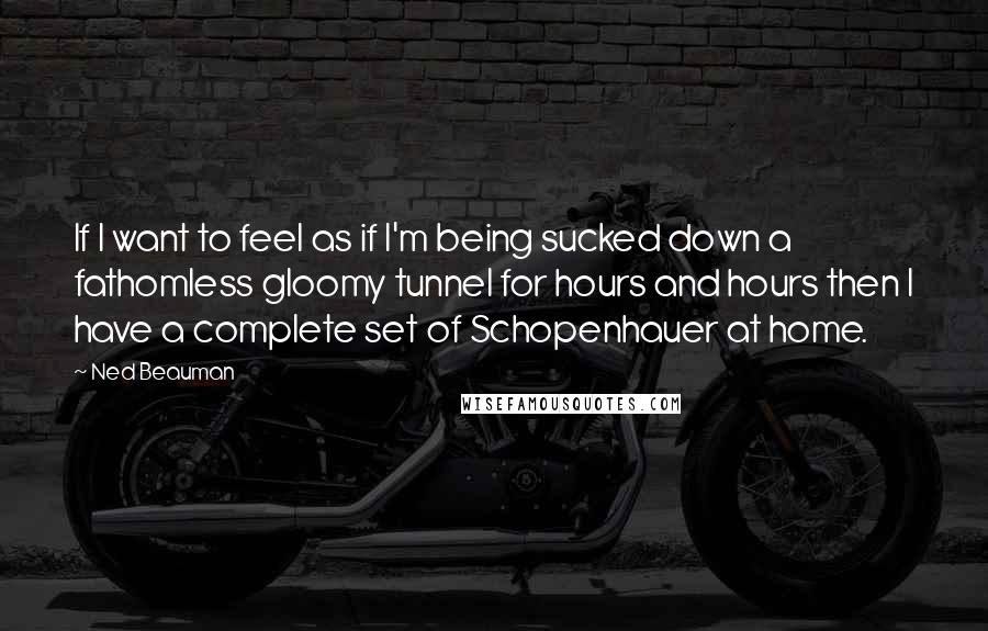 Ned Beauman Quotes: If I want to feel as if I'm being sucked down a fathomless gloomy tunnel for hours and hours then I have a complete set of Schopenhauer at home.