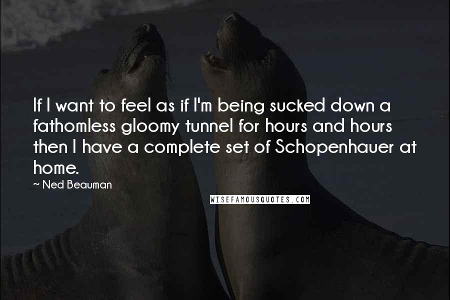 Ned Beauman Quotes: If I want to feel as if I'm being sucked down a fathomless gloomy tunnel for hours and hours then I have a complete set of Schopenhauer at home.