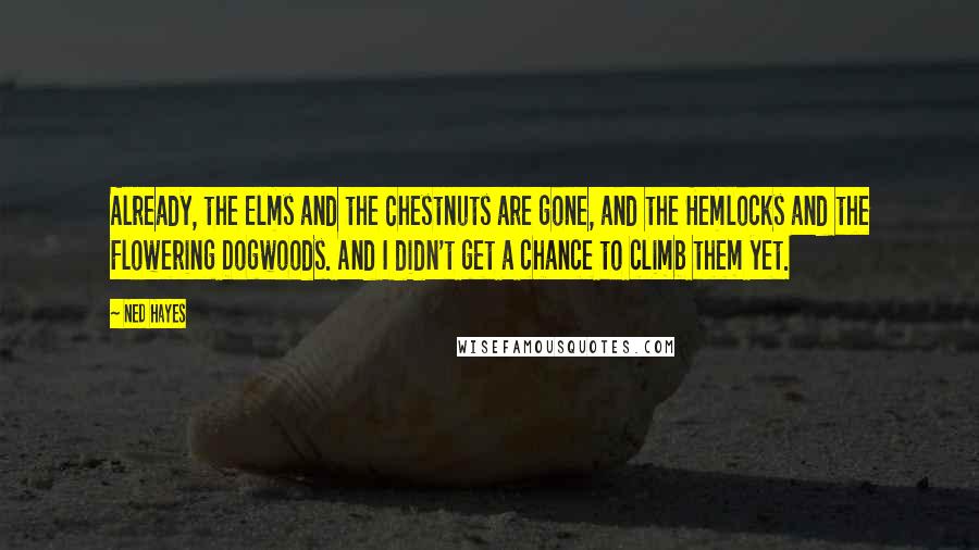 Ned Hayes Quotes: Already, the Elms and the Chestnuts are gone, and the Hemlocks and the Flowering Dogwoods. And I didn't get a chance to climb them yet.