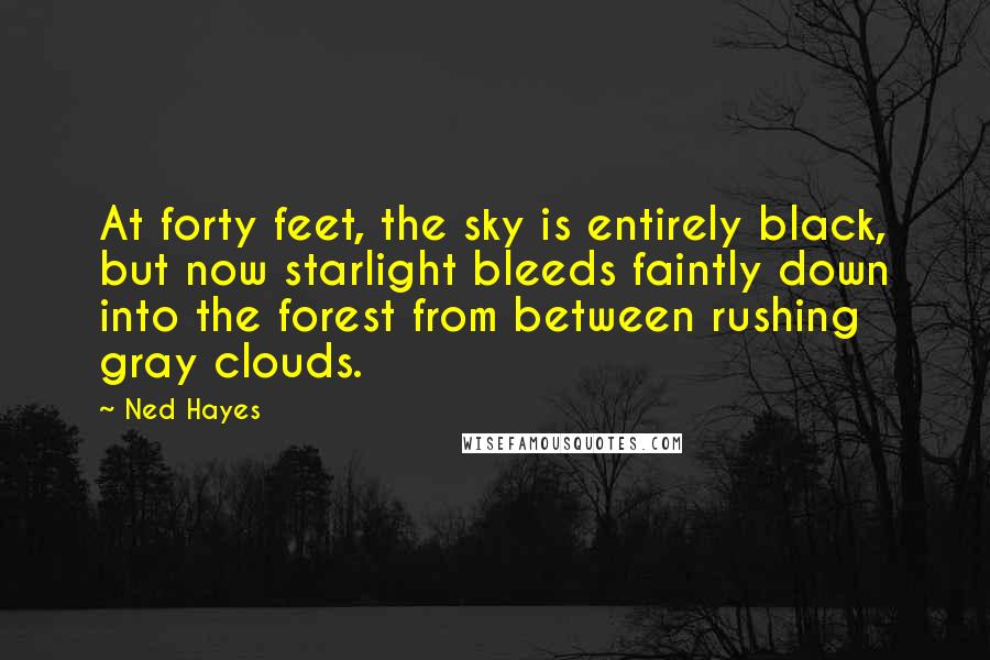 Ned Hayes Quotes: At forty feet, the sky is entirely black, but now starlight bleeds faintly down into the forest from between rushing gray clouds.