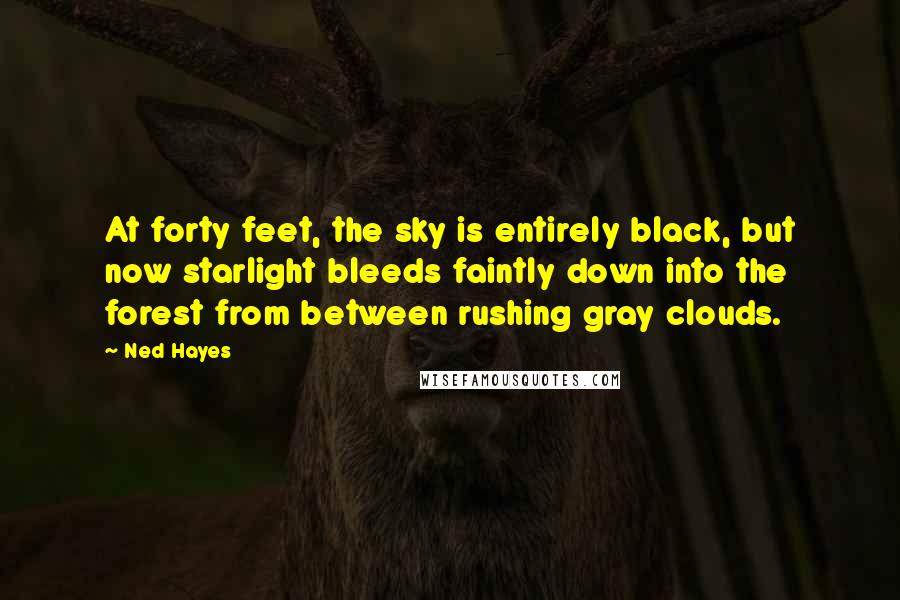 Ned Hayes Quotes: At forty feet, the sky is entirely black, but now starlight bleeds faintly down into the forest from between rushing gray clouds.