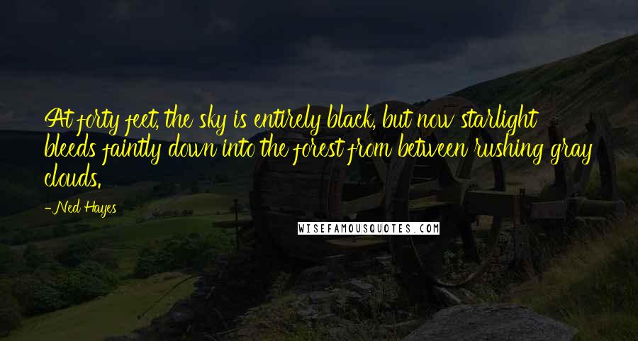 Ned Hayes Quotes: At forty feet, the sky is entirely black, but now starlight bleeds faintly down into the forest from between rushing gray clouds.