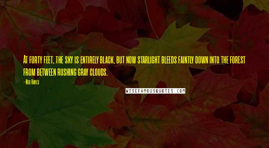 Ned Hayes Quotes: At forty feet, the sky is entirely black, but now starlight bleeds faintly down into the forest from between rushing gray clouds.