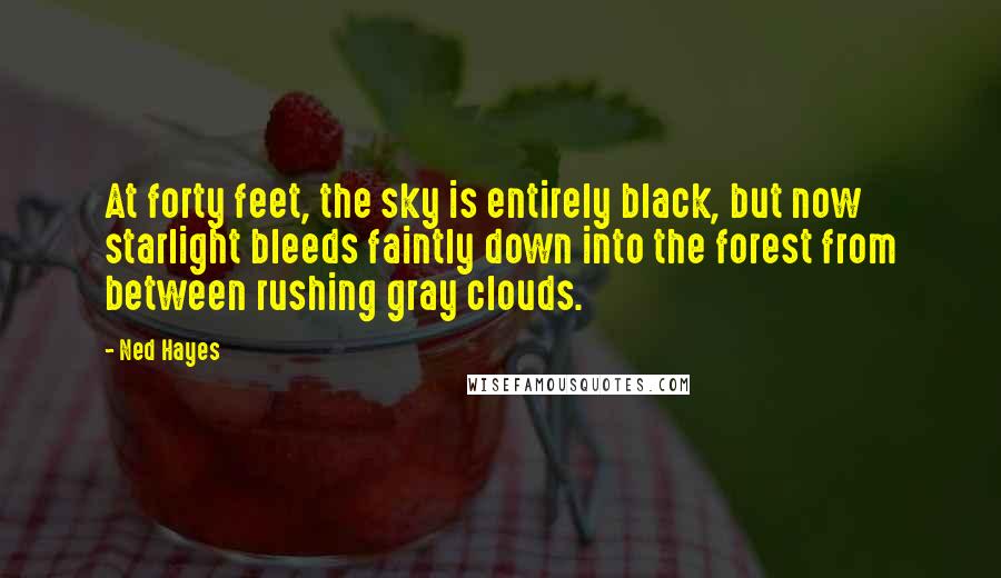 Ned Hayes Quotes: At forty feet, the sky is entirely black, but now starlight bleeds faintly down into the forest from between rushing gray clouds.