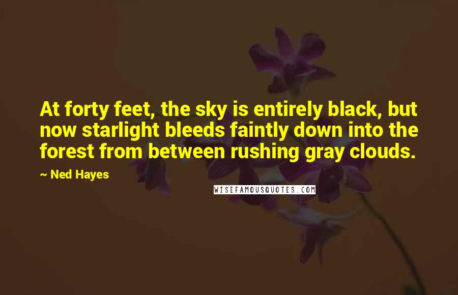 Ned Hayes Quotes: At forty feet, the sky is entirely black, but now starlight bleeds faintly down into the forest from between rushing gray clouds.