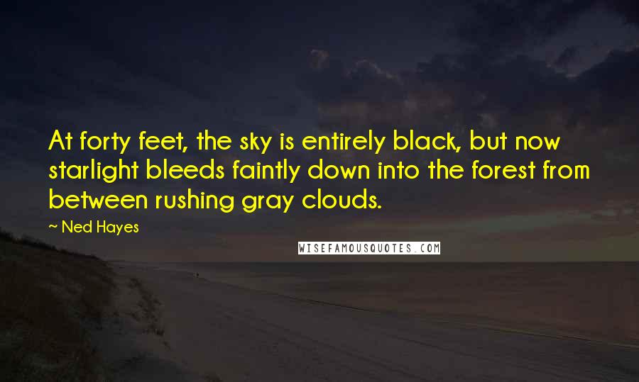 Ned Hayes Quotes: At forty feet, the sky is entirely black, but now starlight bleeds faintly down into the forest from between rushing gray clouds.