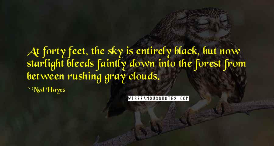 Ned Hayes Quotes: At forty feet, the sky is entirely black, but now starlight bleeds faintly down into the forest from between rushing gray clouds.