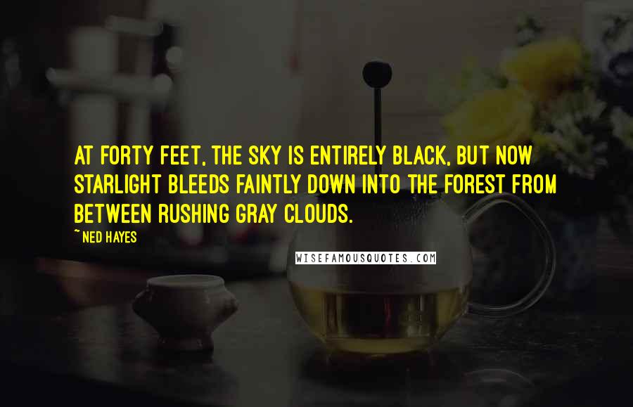 Ned Hayes Quotes: At forty feet, the sky is entirely black, but now starlight bleeds faintly down into the forest from between rushing gray clouds.