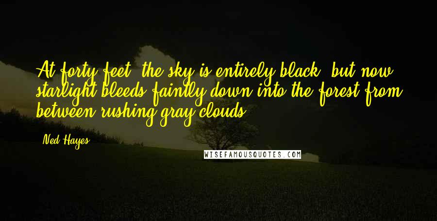 Ned Hayes Quotes: At forty feet, the sky is entirely black, but now starlight bleeds faintly down into the forest from between rushing gray clouds.