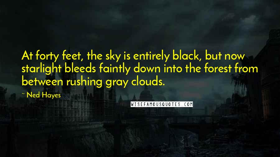 Ned Hayes Quotes: At forty feet, the sky is entirely black, but now starlight bleeds faintly down into the forest from between rushing gray clouds.