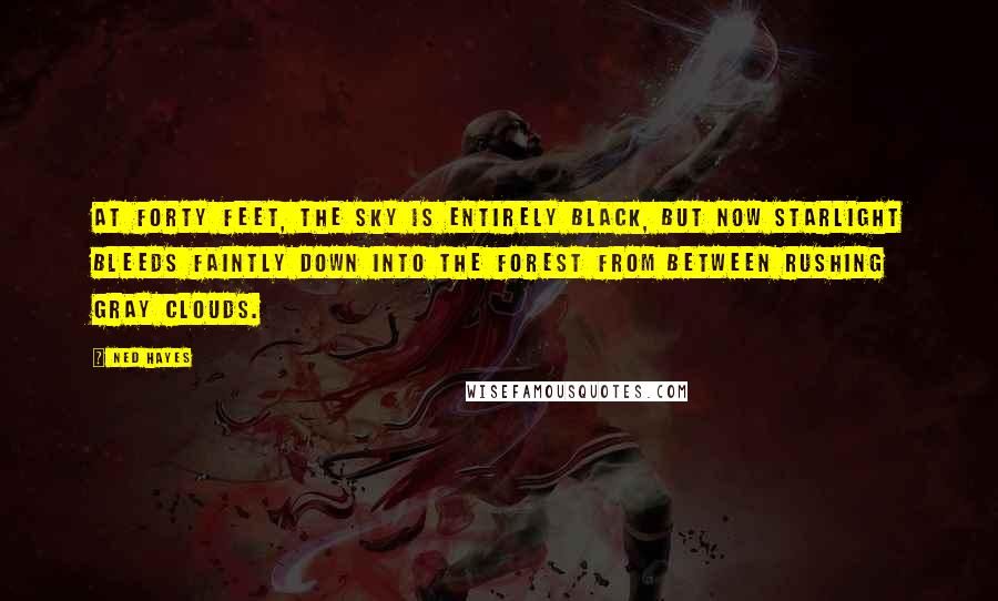 Ned Hayes Quotes: At forty feet, the sky is entirely black, but now starlight bleeds faintly down into the forest from between rushing gray clouds.