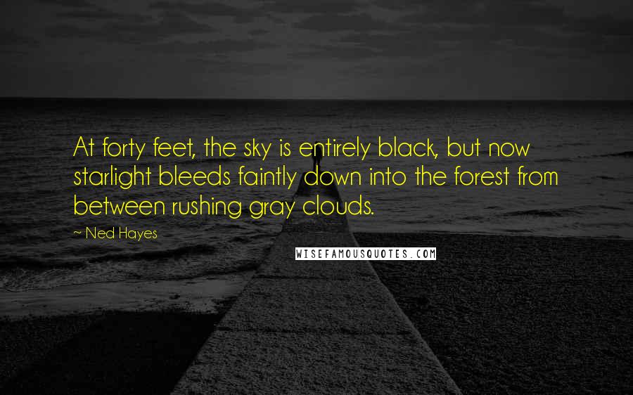 Ned Hayes Quotes: At forty feet, the sky is entirely black, but now starlight bleeds faintly down into the forest from between rushing gray clouds.