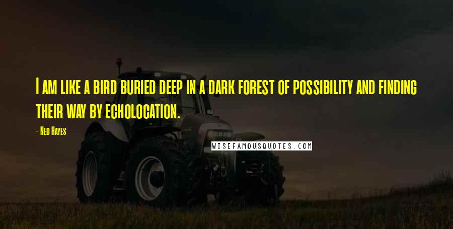 Ned Hayes Quotes: I am like a bird buried deep in a dark forest of possibility and finding their way by echolocation.