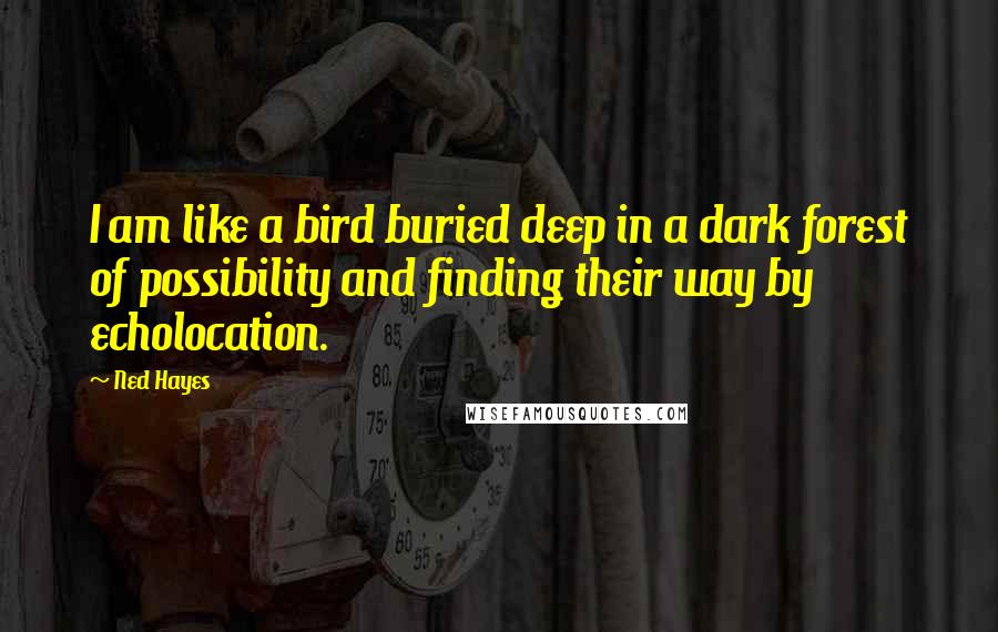 Ned Hayes Quotes: I am like a bird buried deep in a dark forest of possibility and finding their way by echolocation.