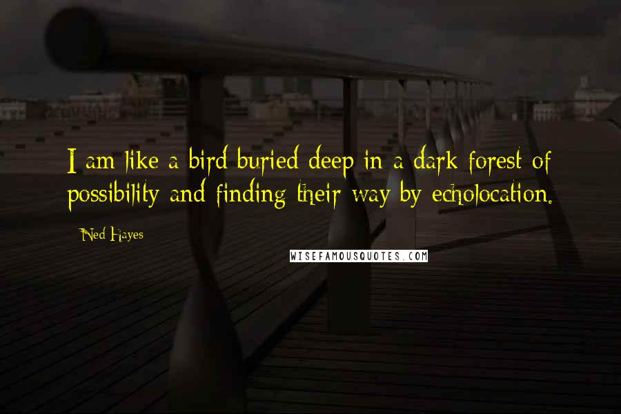 Ned Hayes Quotes: I am like a bird buried deep in a dark forest of possibility and finding their way by echolocation.