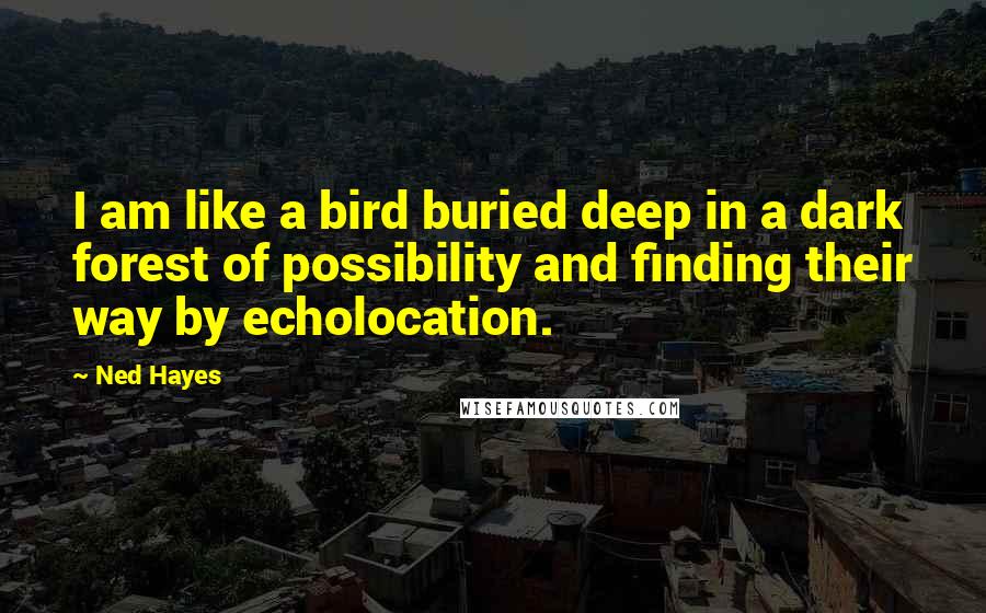 Ned Hayes Quotes: I am like a bird buried deep in a dark forest of possibility and finding their way by echolocation.