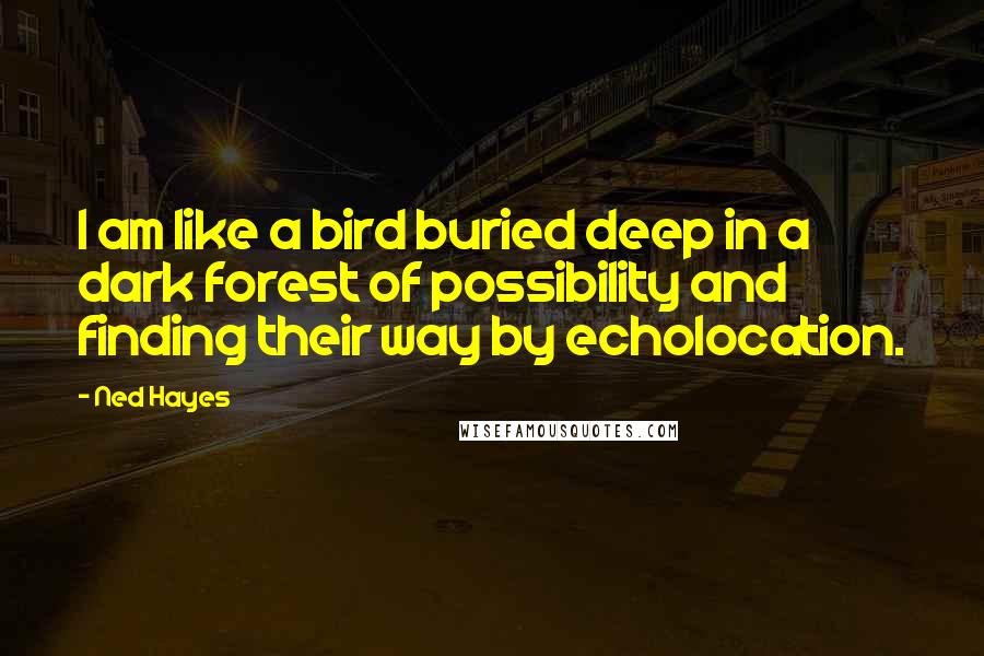 Ned Hayes Quotes: I am like a bird buried deep in a dark forest of possibility and finding their way by echolocation.