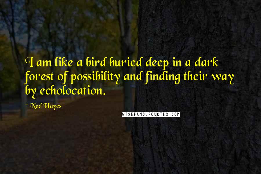 Ned Hayes Quotes: I am like a bird buried deep in a dark forest of possibility and finding their way by echolocation.