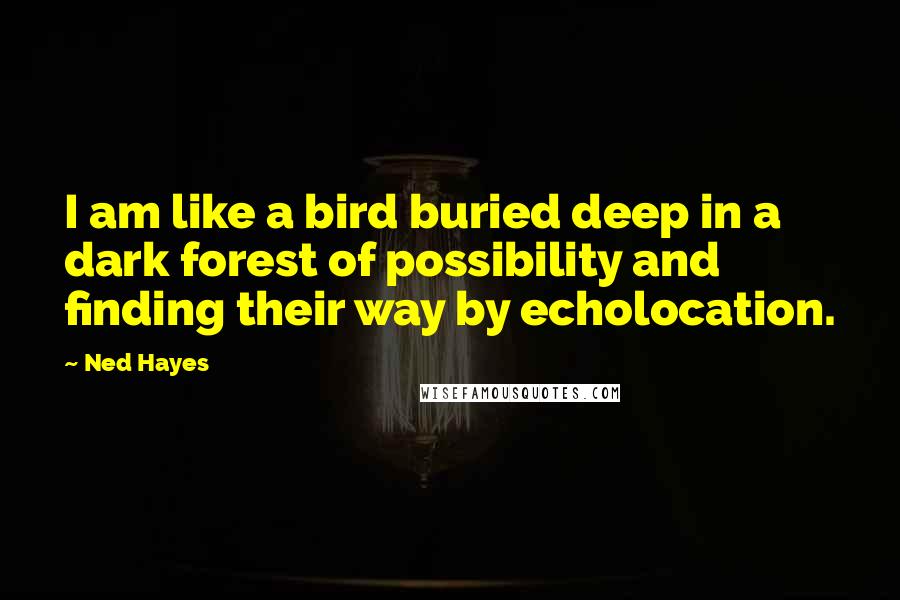 Ned Hayes Quotes: I am like a bird buried deep in a dark forest of possibility and finding their way by echolocation.