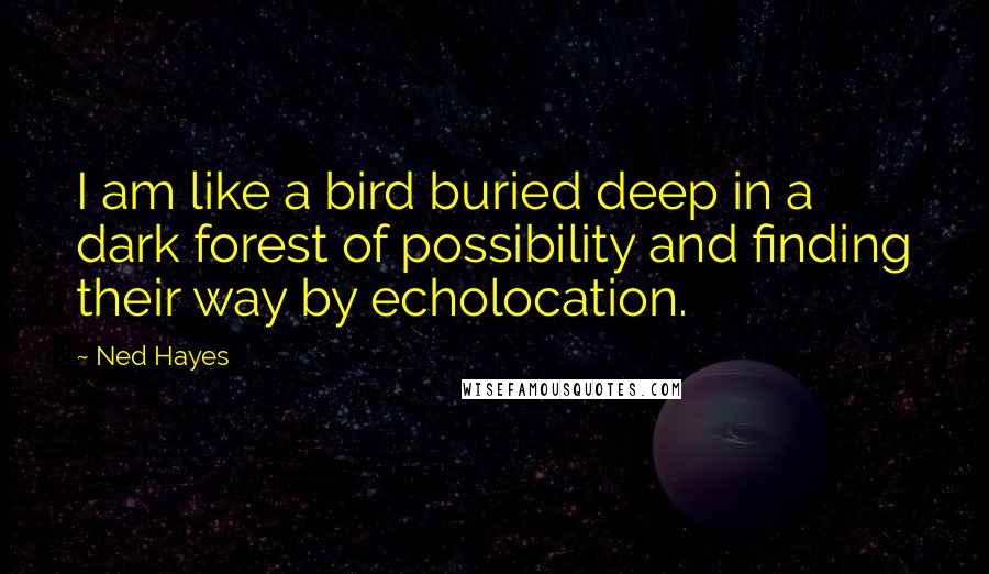 Ned Hayes Quotes: I am like a bird buried deep in a dark forest of possibility and finding their way by echolocation.