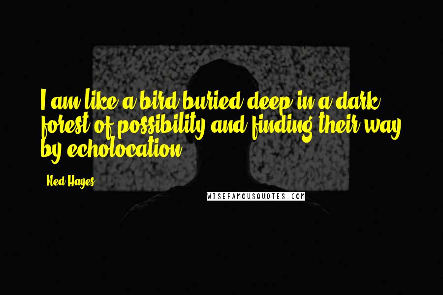 Ned Hayes Quotes: I am like a bird buried deep in a dark forest of possibility and finding their way by echolocation.