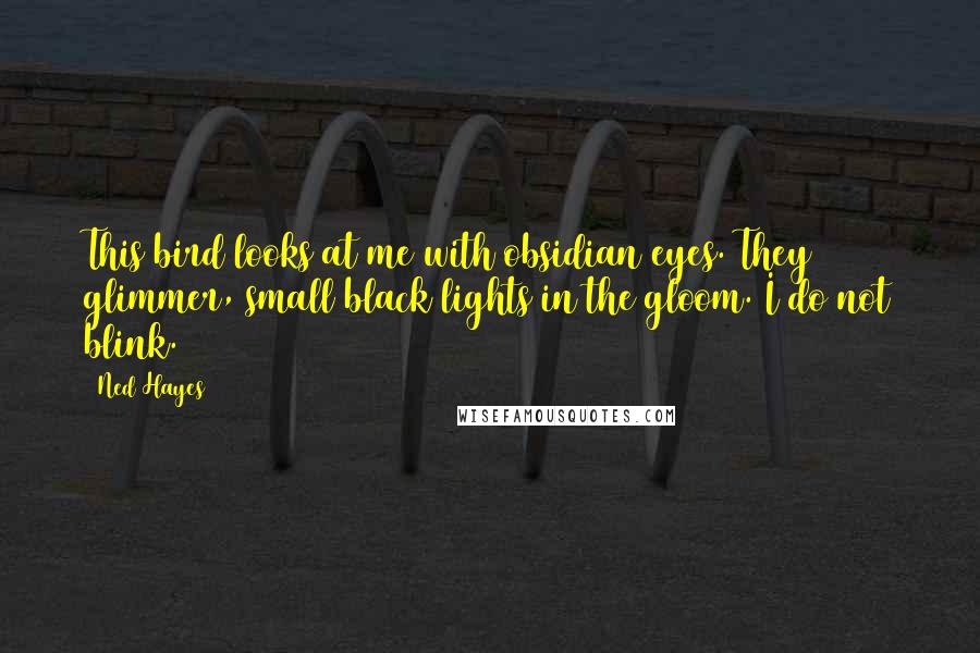 Ned Hayes Quotes: This bird looks at me with obsidian eyes. They glimmer, small black lights in the gloom. I do not blink.